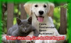 Troller Devrede, Can dostları kızgın!