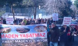 Boyabat Kararlı " Boyabat'ım Seni Cengiz'e vermicez"