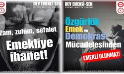 DEV EMEKLİ-SEN’den Emeklilere Çağrı: “Hak verilmez, alınır!”