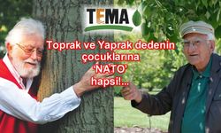 Tutuklamaların ardında 'yeter ki Trump mutlu olsun' anlayışı mı var?