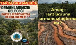 "ORMANLARIMIZIN GELECEĞİ PARSEL HESAPLARIYLA BELİRLENEMEZ!"