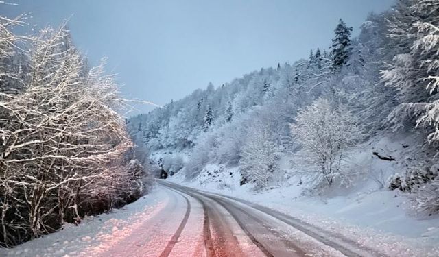 Kar ve fırtına nedeni ile bazı yerleşim yerlerinde eğitime ara verildi...