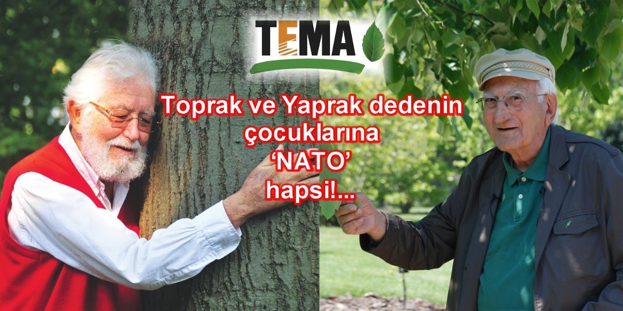 Toprak Yaprak Dede